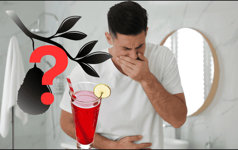 Esta planta, además de ayudarte a combatir la intoxicación alcohólica, también ayuda a mejorar tu digestión. ESPECIAL/ CANVA