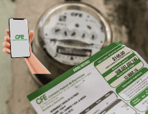 En ocasiones se complica la entrega del recibo físico. EL INFORMADOR / ARCHIVO