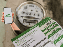 En ocasiones se complica la entrega del recibo físico. EL INFORMADOR / ARCHIVO