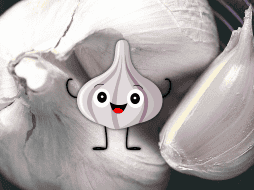 El ajo es un alimento nutritivo, rico en minerales como yodo, fósforo y potasio, y vitaminas como la tiamina, la vitamina B6 y la vitamina C. EL INFORMADOR / ARCHIVO