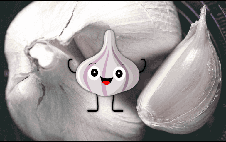 El ajo es un alimento nutritivo, rico en minerales como yodo, fósforo y potasio, y vitaminas como la tiamina, la vitamina B6 y la vitamina C. EL INFORMADOR / ARCHIVO