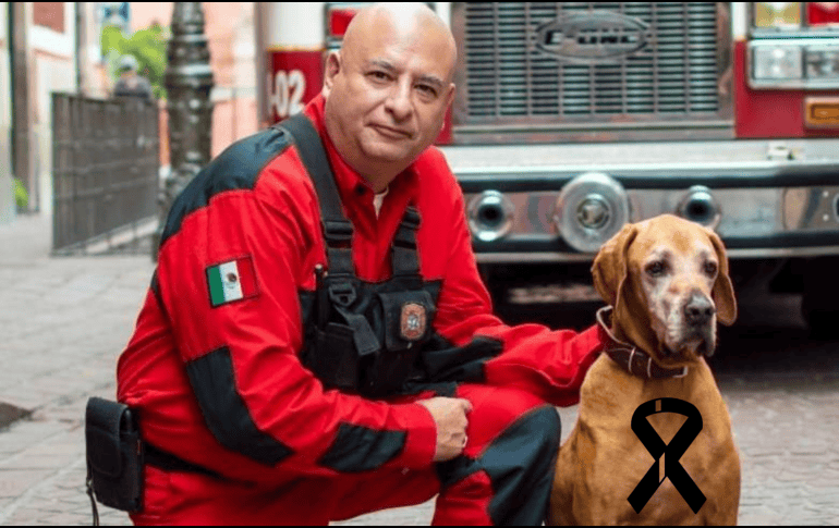 Titán fue compañero canino del bombero guanajuatense Mauricio Pantoja Merino. ESPECIAL