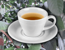 Las hojas de guayaba son ricas en polifenoles, carotenoides, flavonoides y taninos, los cuales benefician el sistema inmunológico. EL INFORMADOR / O. Álvarez