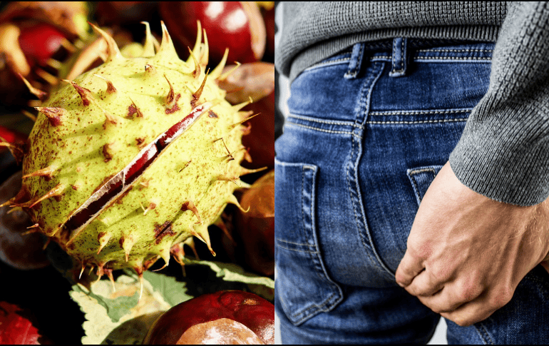 De acuerdo con la Biblioteca Nacional de Medicina, el castaño de indias es reconocido por sus propiedades tónicas venosas, un elemento que ayuda a la salud de las venas y las fortalece. ESPECIAL/Imagen de Darko Djurin en Pixabay/Imagen de Couleur en Pixabay