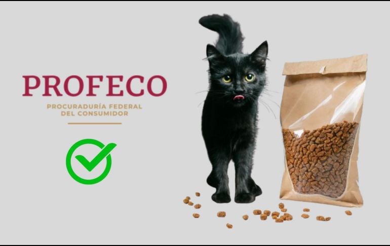 La salud, energía y suavidad de tu gato dependen en buena medida de una correcta nutrición. ESPECIAL/Pexels y Pixabay