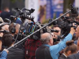 Fanáticos han aplaudido al elenco que dará vida a los personajes de esta icónica película de DreamWorks. ESPECIAL/ Imagen de Michal Kryński en Pixabay