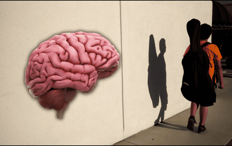 El cuerpo es un sistema complejo de almacenamiento de información que va más allá del cerebro. AP / ARCHIVO