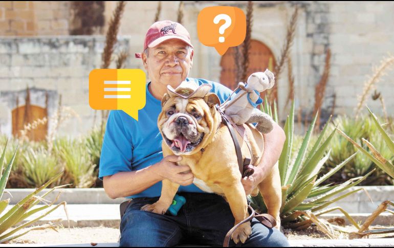 Con estos consejos de una adiestradora profesional podrás entender las emociones de tu perro. SUN / ARCHIVO