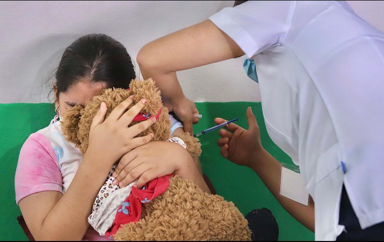 Las vacunas son preparaciones farmacéuticas que contienen agentes debilitados, inactivados o atenuados que simulan a los microorganismos que causan las enfermedades. SUN / ARCHIVO