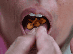 muchas plantas son medicinales y eso se debe a que poseen unas sustancias químicas llamadas principios activos. AFP / ARCHIVO