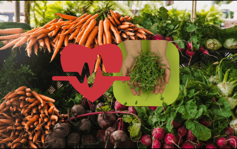 Los alimentos vegetales son indispensables en una dieta balanceada y saludable. PEXELS / CANVA