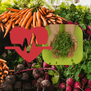 Este es el vegetal más saludable y nutritivo del mundo, según expertos