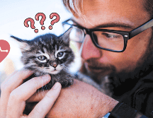 Conocer las enfermedades en común entre humanos y mascotas ayuda a detectar las señales a tiempo. Especial/Pexels