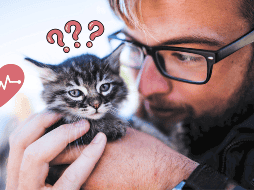 Conocer las enfermedades en común entre humanos y mascotas ayuda a detectar las señales a tiempo. Especial/Pexels