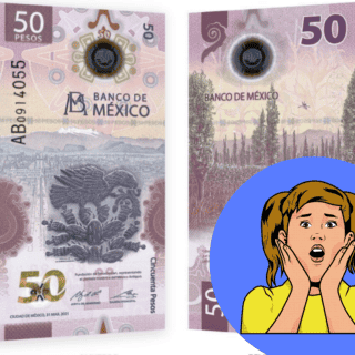 ¿Un millón de pesos? Este es el valor real del billete de ajolote con palabra "Yevah"