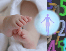 De acuerdo con esta práctica, el 2025 está marcado por el número 9, una cifra obtenida de la suma de 2 + 0 + 2 + 5. ESPECIAL/Imagen de Marjon Besteman en Pixabay/Imagen de Willfried Wende en Pixabay