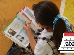 Este anhelado periodo vacacional aplica para todos los estudiantes de los niveles preescolar, primaria y secundaria. EL INFORMADOR / ARCHIVO