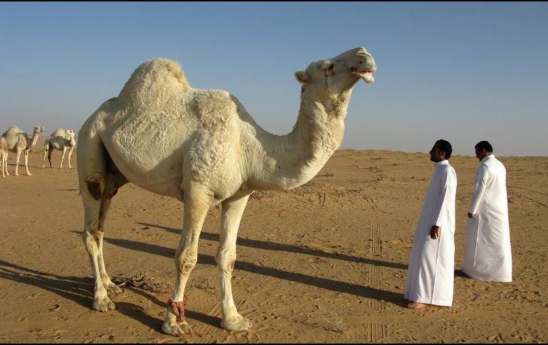 Organizaciones internacionales han señalado que las reformas son insuficientes frente a las restricciones a derechos políticos y libertades civiles. ESPECIAL/ Imagen de Wolfgang Inderwies en Pixabay