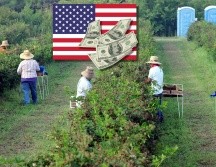 Donald Trump tiene prevista una deportación masiva de migrantes indocumentados. EFE / ARCHIVO