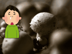 Las alergias se producen cuando el sistema inmunitario reacciona a una sustancia extraña que haya ingresado en nuestro organismo, pero un alimento ayuda a combatirlas. AFP / ARCHIVO