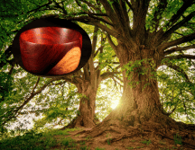 Ya ha desaparecido casi el doble de especies de plantas que de aves o mamíferos. Flickr / Pexels