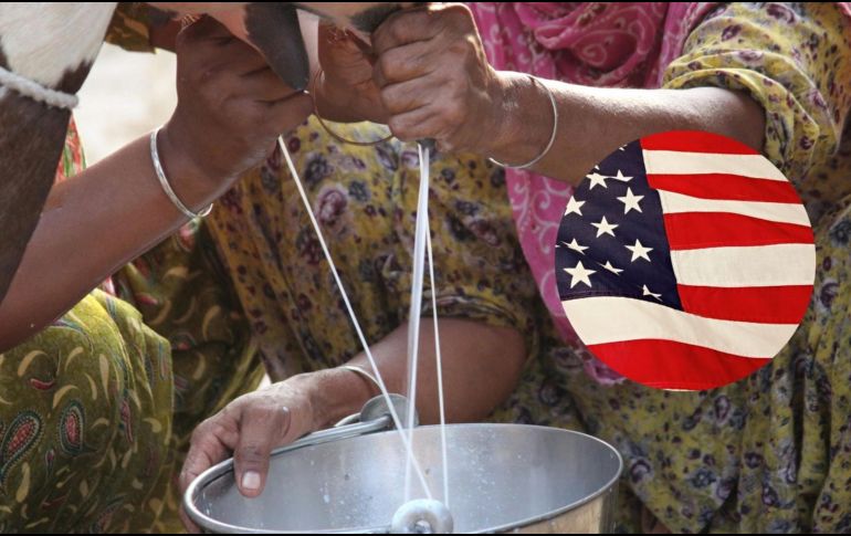 Este año ha habido al menos 55 casos de gripe aviar en Estados Unidos. ESPECIAL/Pexels