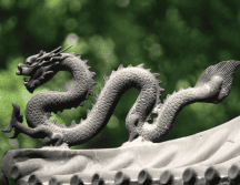 Este dinosaurio fue bautizado como “dragón chino” gracias a su apariencia. Pexels