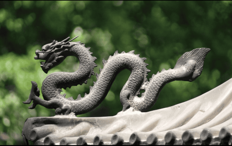 Este dinosaurio fue bautizado como “dragón chino” gracias a su apariencia. Pexels