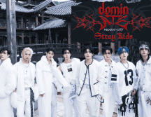 Stray Kids se presentará por primera vez en México en abril del próximo año. ESPECIAL/Facebook @Stray Kids