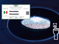 Se espera que a lo largo del 2025 más estados implementen esta nueva herramienta de seguridad. UNSPLASH / G. PRENTZAS / ESPECIAL / GOB.MX