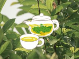 Debes consumirlo con moderación pues tiene efecto diurético. UNSPLASH / C. CHAURASIA