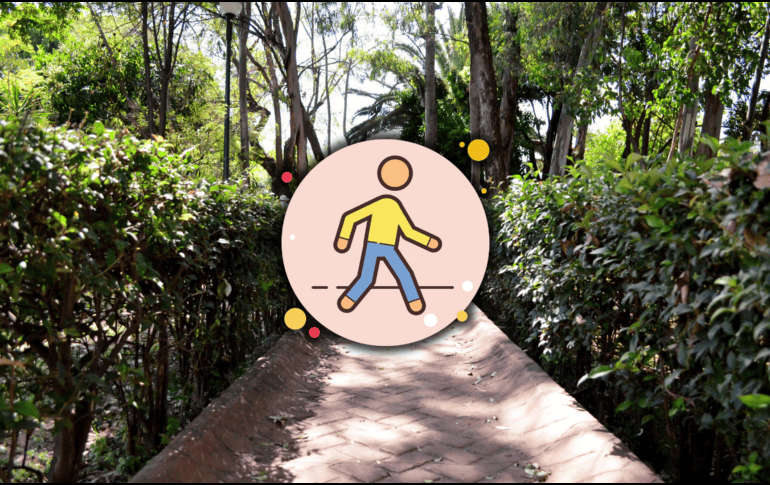 Entre lo que está a nuestro alcance para mantener buena memoria se encuentra una alimentación saludable y ejercicios. EL INFORMADOR / ARCHIVO