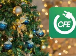 Algunos de los electrodomésticos que puedes renovar son refrigeradores, lavadoras, aires acondicionados, focos, entre otros, que cuenten con más de seis años de vida. ESPECIAL