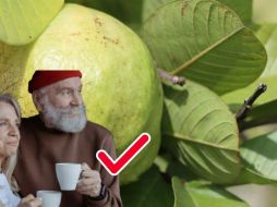 México es el cuarto productor de guayaba en el mundo. ESPECIAL/Pexels