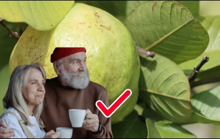 México es el cuarto productor de guayaba en el mundo. ESPECIAL/Pexels