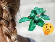 La guayaba es una fruta de temporada que se cultiva principalmente en los meses de otoño e invierno. ESPECIAL/Pixabay