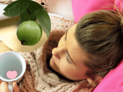 El té de hojas de guayaba también es rico en vitamina C, un nutriente clave para combatir infecciones virales. ESPECIAL/Imagen de Silvia en Pixabay/Imagen de Liza Trinidad en Pixabay