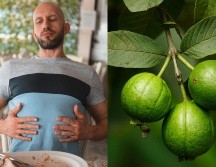 La hoja de guayaba es rica en compuestos astringentes. ESPECIAL/Pexels