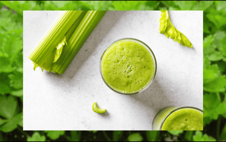 El apio es un vegetal con peciolos largos y carnosos que se conocen con el nombre de pencas. CANVA