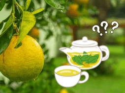 Las hojas de limón son una fuente de vitaminas y minerales con propiedades desinflamantes.ESPECIAL/Pexels Y Canva