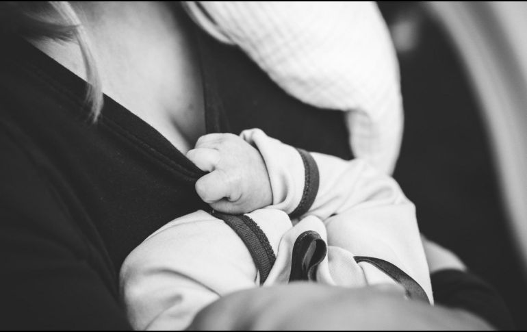 El fenogreco es una planta muy recomendada para el cuidado de la salud ya que, por su contenido nutricional, colabora en la protección de la salud del corazón. ESPECIAL/ Foto de Jordan Whitt en Unsplash