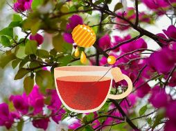 Esta flor, ayuda en el tratamiento de ciertas afecciones. UNSPLASH / N. SINGH