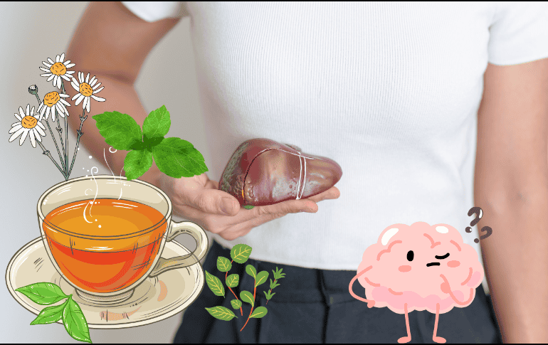 Hoy te compartimos en EL INFORMADOR cuáles son los tés de hierbas que benefician a la salud de tu hígado, así que toma nota. ESPECIAL/ CANVA