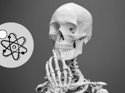 El descubrimiento de Lucy ha sido una referencia ineludible en la paleoantropología.ESPECIAL/Unsplash y Canva