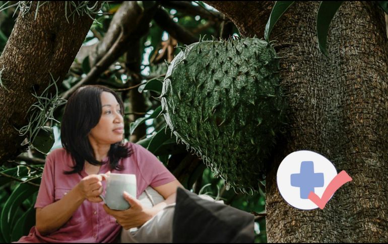 La guanábana es importante debido a su amplia aplicación tanto en la gastronomía como en la medicina. ESPECIAL/Pexels y Canva