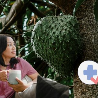 ¿Qué beneficios tiene el té de hojas de guanábana?