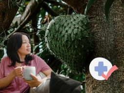 La guanábana es importante debido a su amplia aplicación tanto en la gastronomía como en la medicina. ESPECIAL/Pexels y Canva