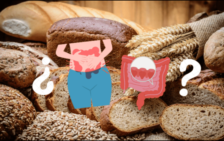 Si bien su asociación con el pan es clara debido al gluten del trigo, comprender los síntomas y cómo manejar la dieta permite a las personas celíacas llevar una vida saludable y equilibrada.  CANVA