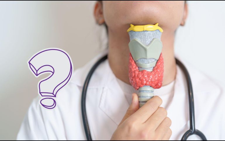 Reconocer los primeros síntomas del cáncer de tiroides puede marcar la diferencia entre un diagnóstico temprano y uno avanzado. CANVA