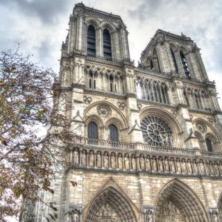 Notre Dame reabrirá sus puertas este fin de semana, esto sabemos